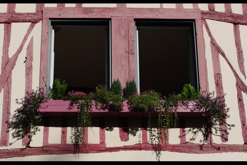 Fenêtres vieux-rose